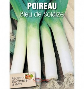 POIREAU BLEU DE SOLAIZE