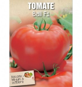 TOMATE BALI F1