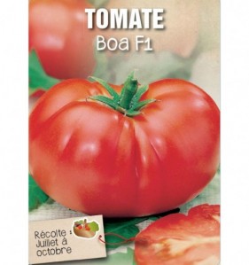 TOMATE BOA F1
